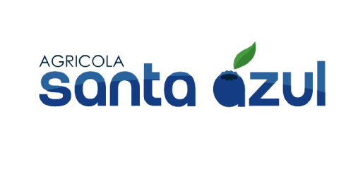 logo-4