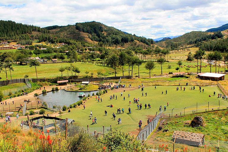 Granja Porcón