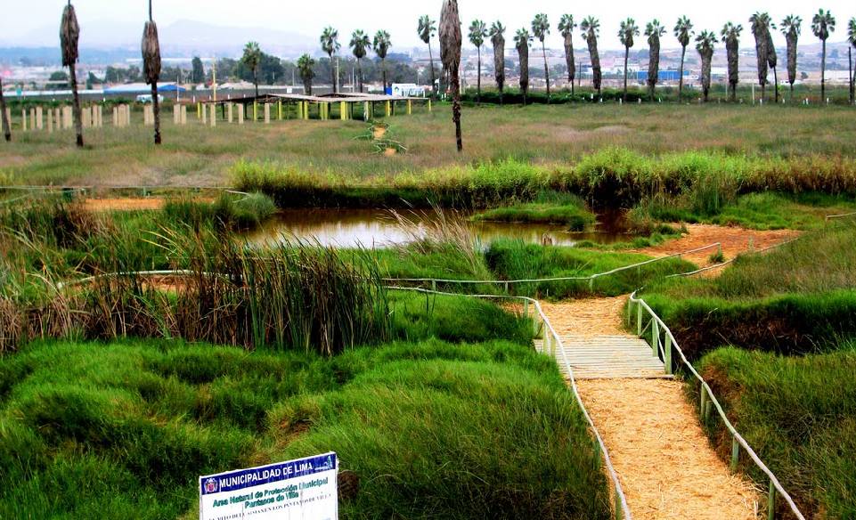 pantano1